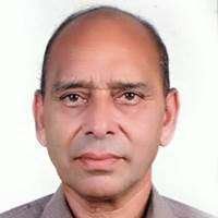 پاپولر میرٹھی