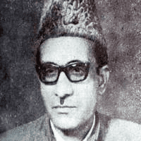 دل ایوبی